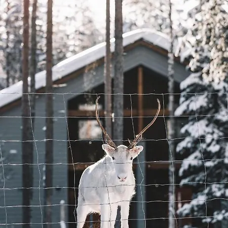 Nova Skyland Hotel 5*