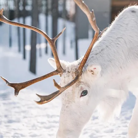 Hotel Nova Skyland 5*