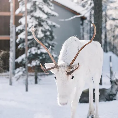 Nova Skyland Hotel 5*