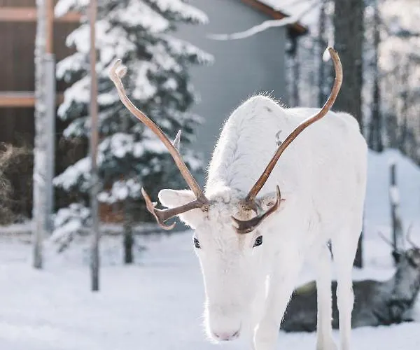 Nova Skyland Hotel 5*